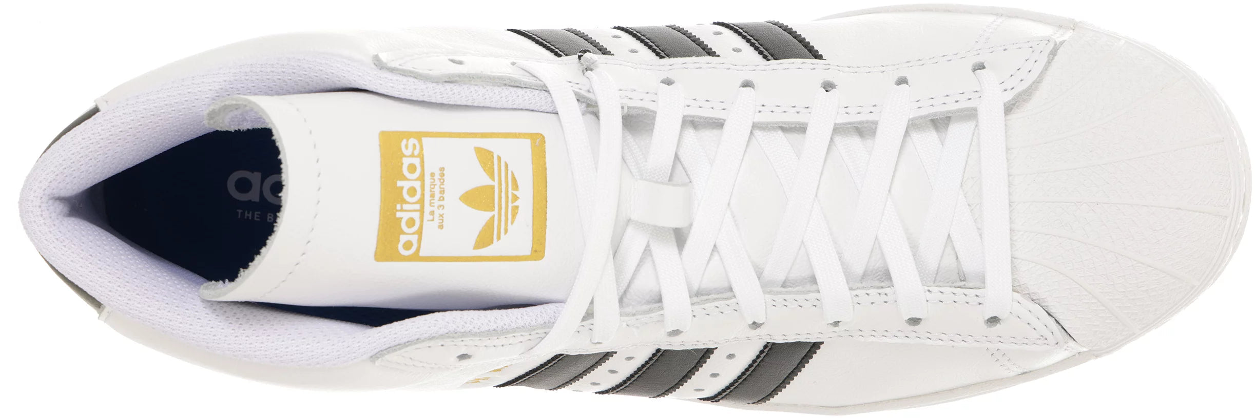 Adidas pro model white black sales