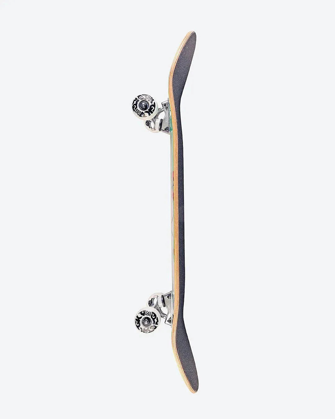 DGK Haunt Holo Complete 7.25 completes DGK 