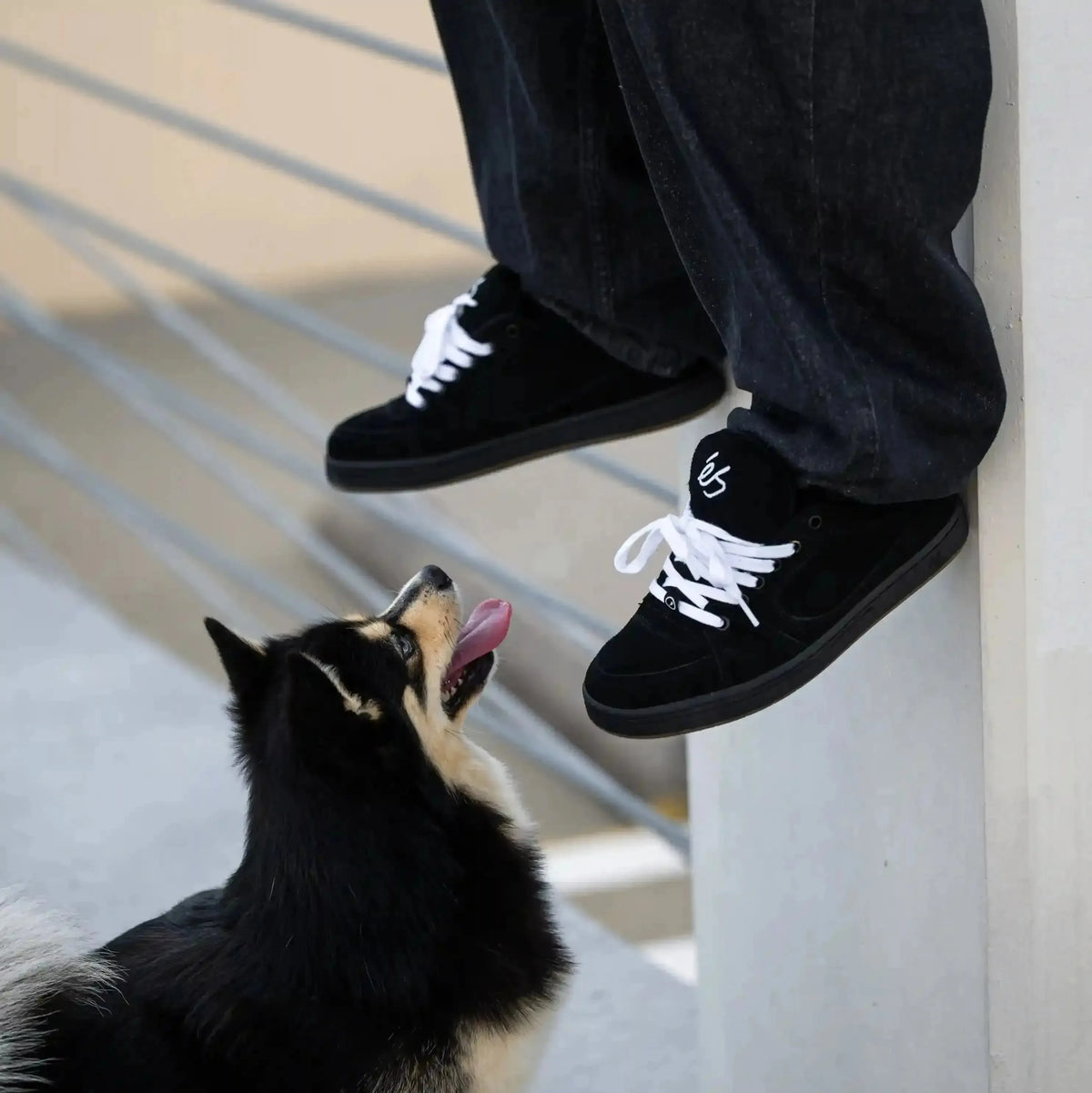 Es Accel Black footwear éS 