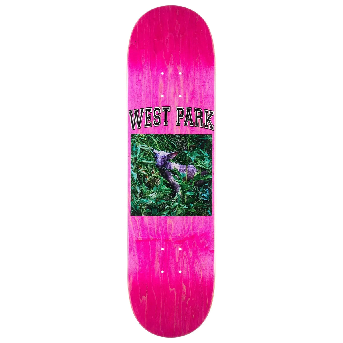 Limosine Loreth Angel Deck 8.25 decks Limosine 