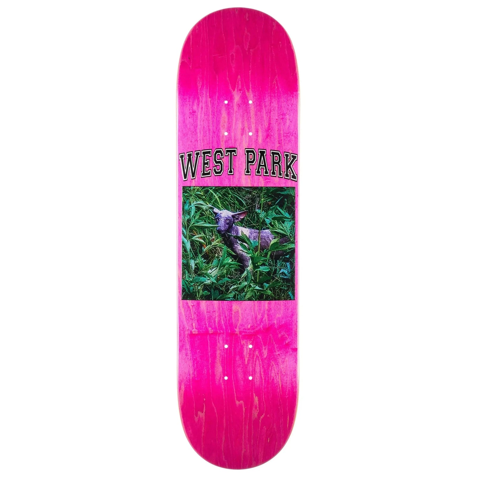 Limosine Loreth Angel Deck 8.25 decks Limosine 