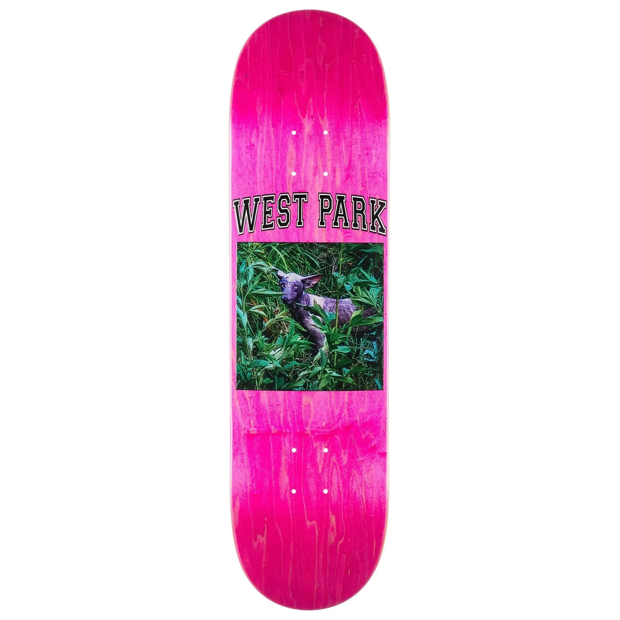 Limosine Loreth Angel Deck 8.25 decks Limosine 