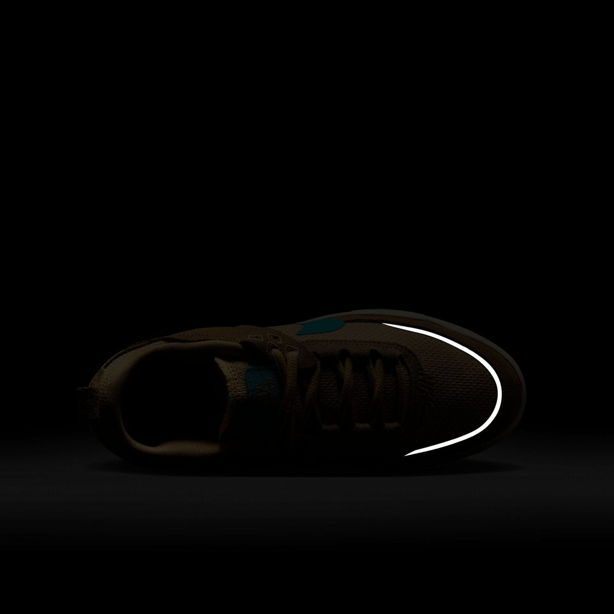 Nike SB Day One Kids Hemp/Dusty Cactus/Sesame/Sail footwear Nike SB 