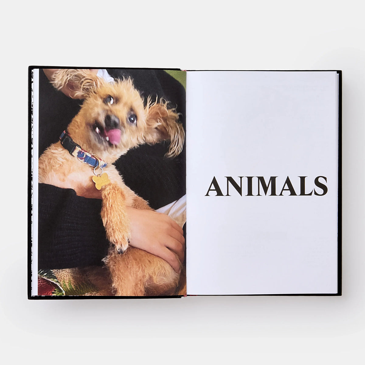 Palace: Product Descriptions accessories Books 