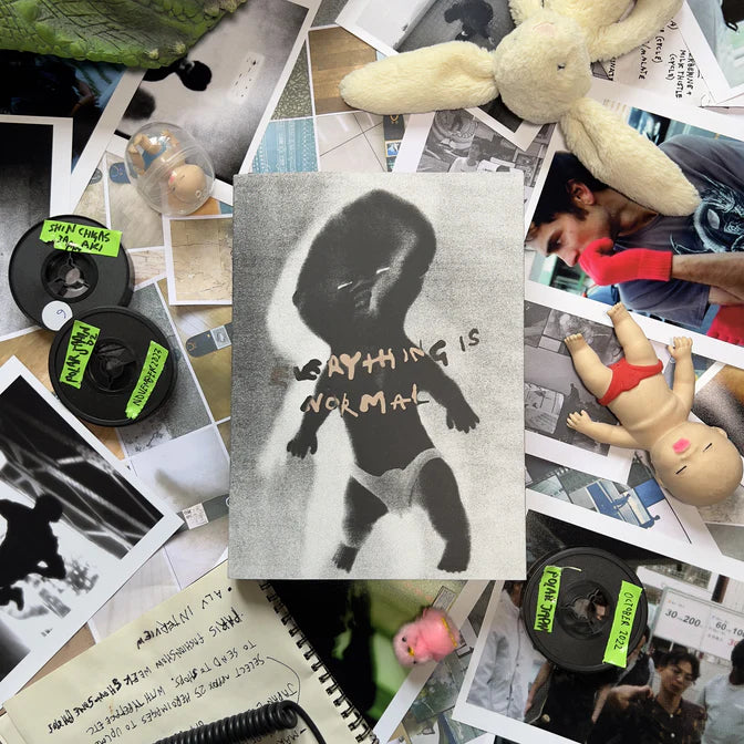 Polar Everything is Normal Book accessories Polar Skate Co 