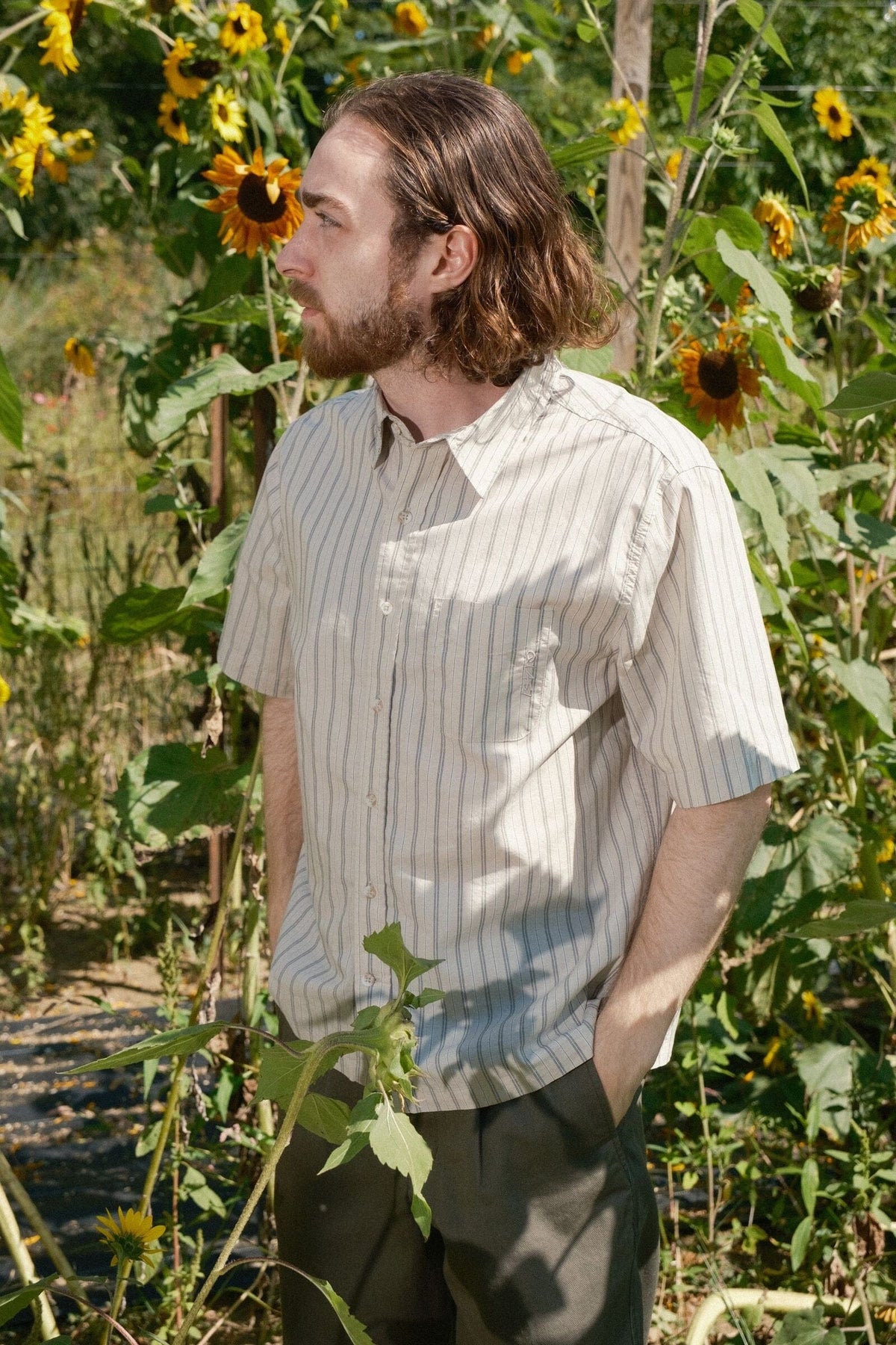 Quasi Kalvin Button Up Shirt Tan shirts Quasi 