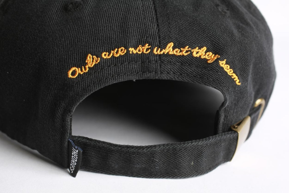 Theories Not What They Seem Strapback Hat Black hats Theories 