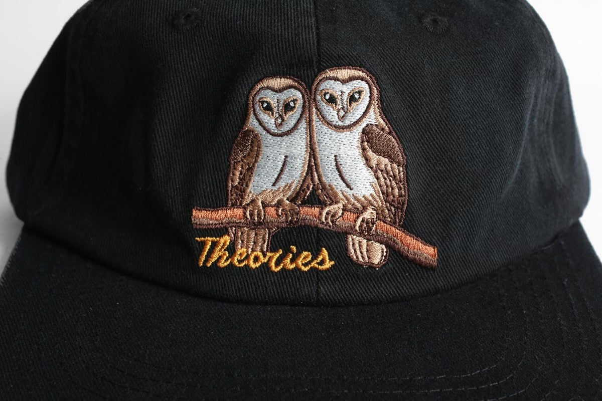 Theories Not What They Seem Strapback Hat Black hats Theories 