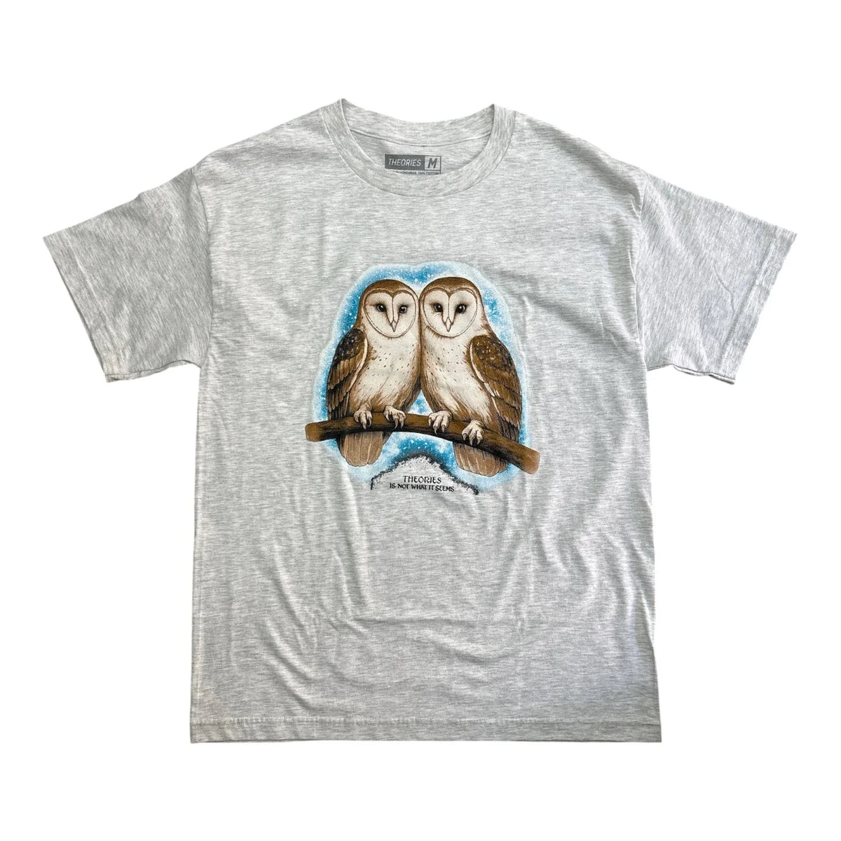 Theories Not What They Seem Tee Ash Tees Theories 