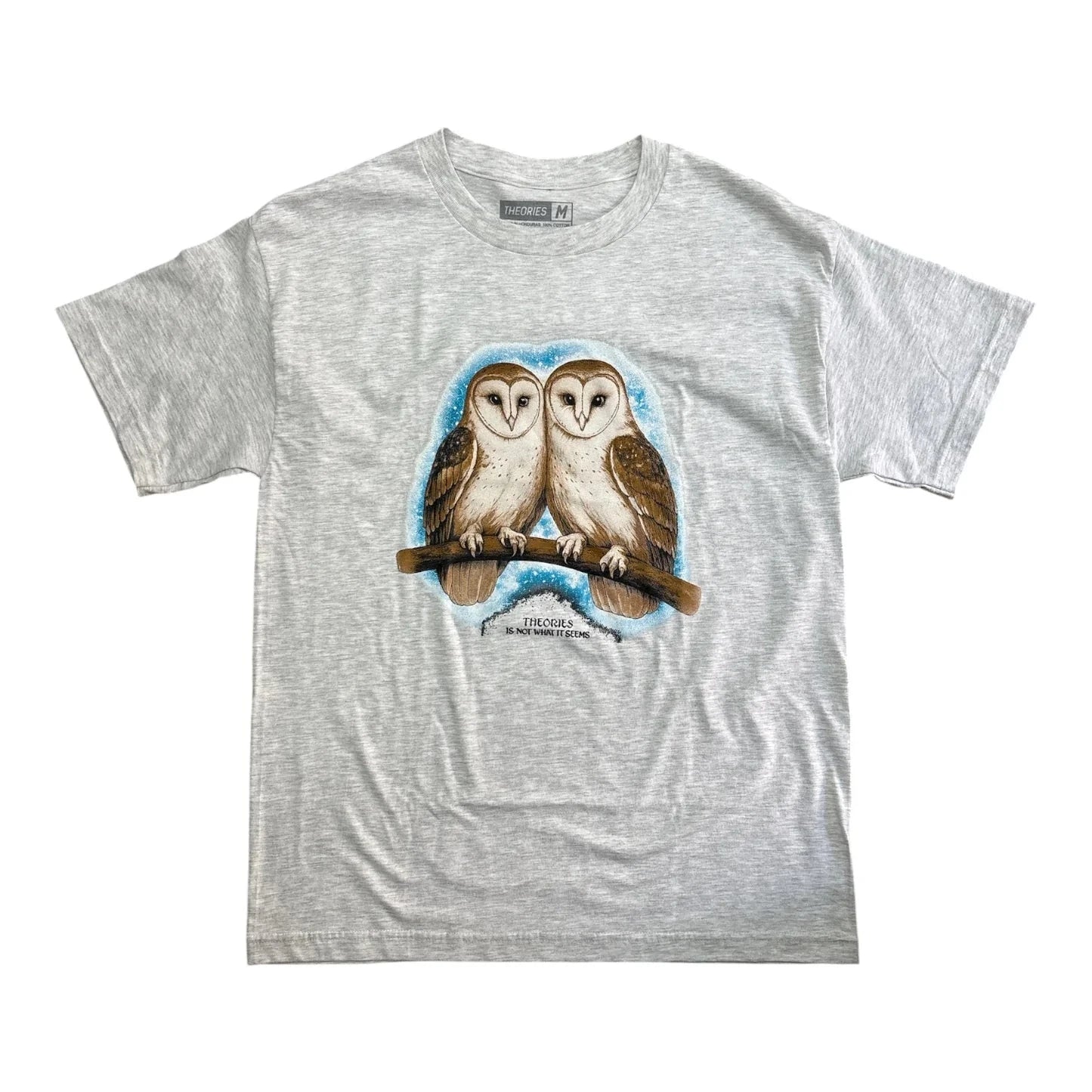 Theories Not What They Seem Tee Ash Tees Theories 