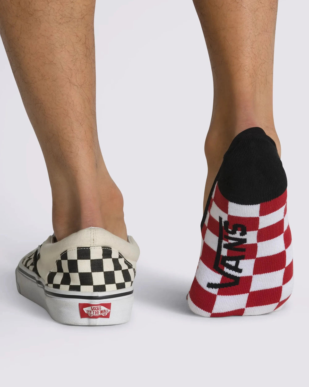 Vans Classic No Show Sock 3 Pack White/Black/Checker 9.5-13 Socks Vans 