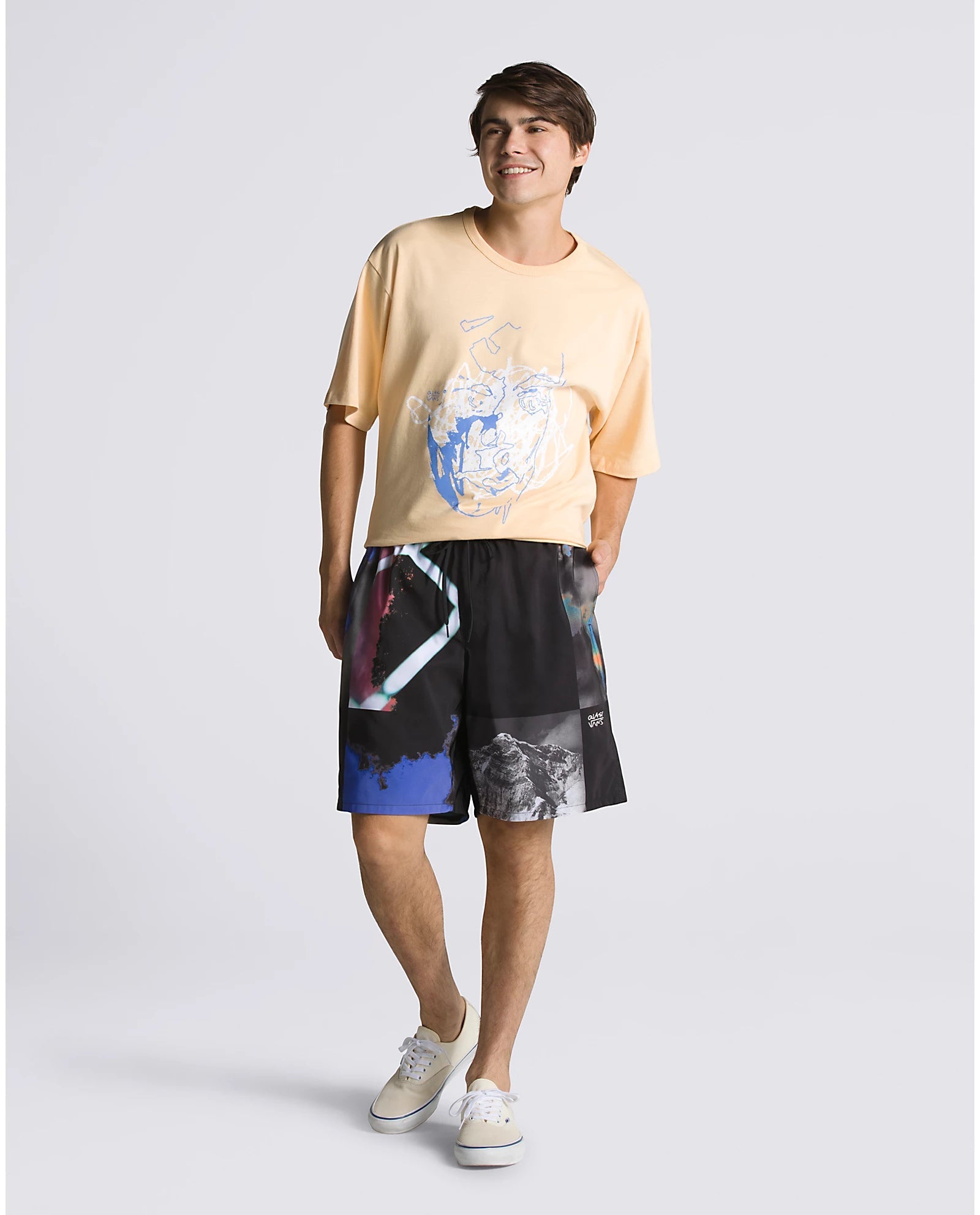 Vans top boardshorts sale